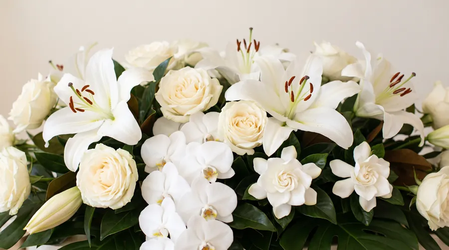 White Flowers massed together, including White Lilies