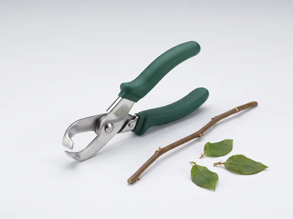 Rose Stripper & Thorn Remover