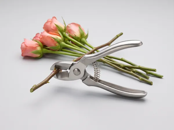 Rose Thorn Stripper