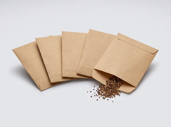 Seasonal Flower Seeds